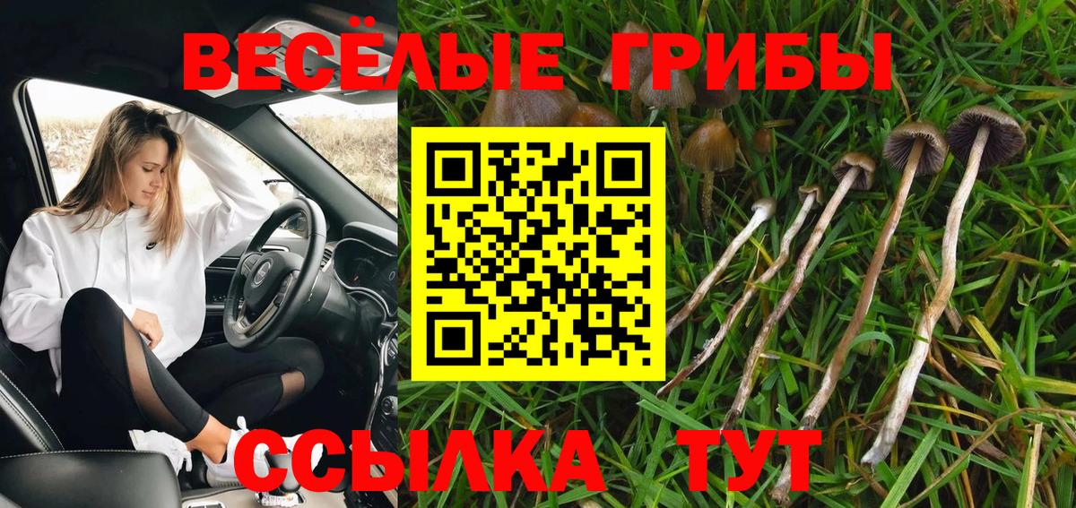 Псилоцибиновые грибы Psilocybe  Галлюциногенные грибы Magic Shrooms  Вход с VPN  Десногорск 
